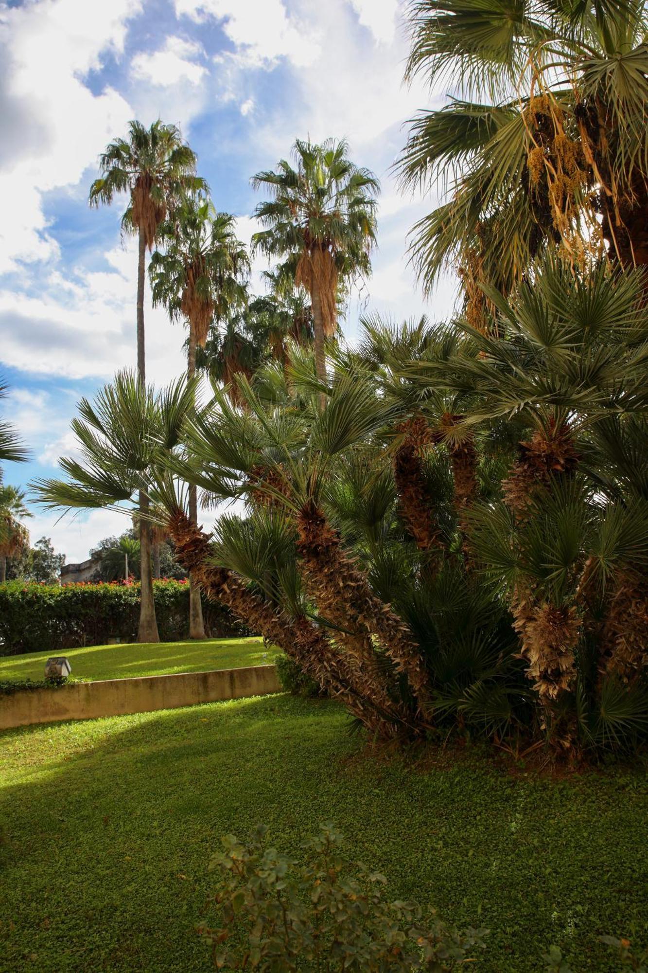 Appartamenti Duec Trapani Exterior foto
